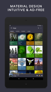 Pulsar Music Player 1.13.4 screenshot 9