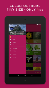Pulsar Music Player 1.13.2 screenshot 10