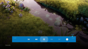 PVR Live 2.9.5 screenshot 2