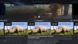 QINO 2.11.9 screenshot 11
