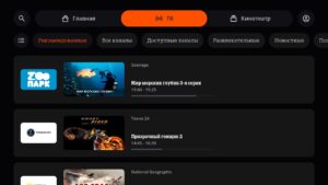 QINO 2.11.9 screenshot 8