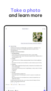 Qwen Chat 1.4.1 screenshot 19