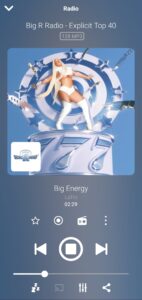 Audials Play: Radio & Podcasts 10.4.2-0+gb38f8fce2-1848894995 screenshot 2