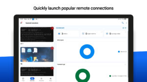 Remote Desktop Manager 2025.1.3.3 screenshot 9