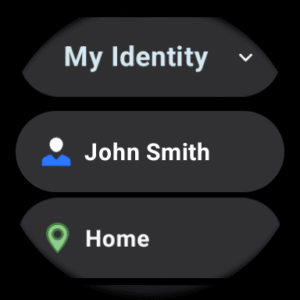 RoboForm Password Manager 9.7.8.11 screenshot 29