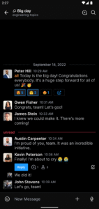 Rocket.Chat 4.65.0 screenshot 3