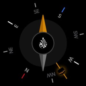 Salaam: Quran & Prayer Times 3.1.0 screenshot 11