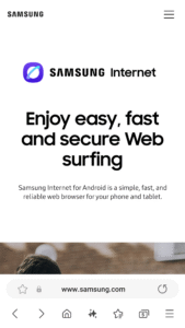 Samsung Browser 4.2.00.7 screenshot 1
