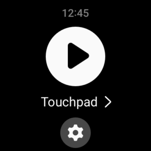 Samsung PPT Controller (Wear OS) 1.0.01.8 screenshot 1