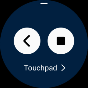 Samsung PPT Controller (Wear OS) 1.0.01.8 screenshot 2