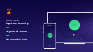 Avast SecureLine VPN & Privacy 6.77.14603 screenshot 15