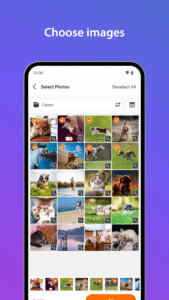 SELPHY Photo Layout 4.0.12 screenshot 3