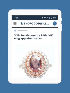 ShopGoodwill 2.3.13 screenshot 8