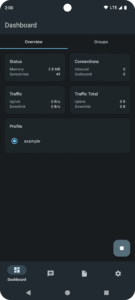 sing-box 1.11.0 screenshot 1