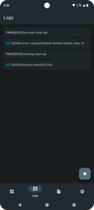 sing-box 1.11.0 screenshot 2