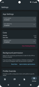 sing-box 1.11.0 screenshot 4