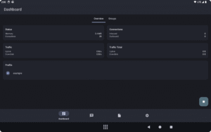 sing-box 1.11.0 screenshot 5