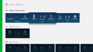 SKORES - Live Football Scores 1.0.8 screenshot 13