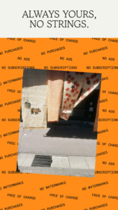 Snapseed 1.4.0 screenshot 3