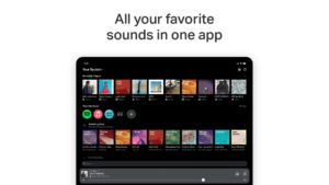 Sonos 80.22.28-release+20250604.bc71711 screenshot 8