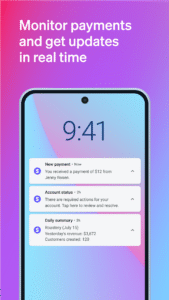 Stripe Dashboard 2.24.1 screenshot 7