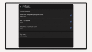 Tailscale 1.84.1-t1b829929a-g5ed91b4a9 screenshot 7