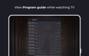 Televizo - IPTV player 1.9.8.2-g screenshot 13
