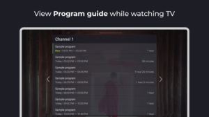 Televizo - IPTV player 1.9.8.2-g screenshot 20