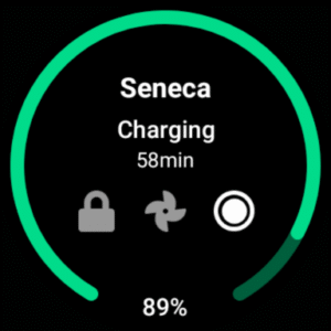 Tessie — Track your Tesla (Wear OS) 15.0.22 screenshot 9
