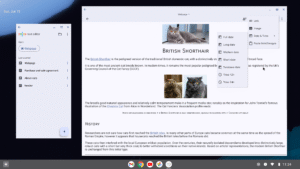 Text Editor 3.1.b163 screenshot 11