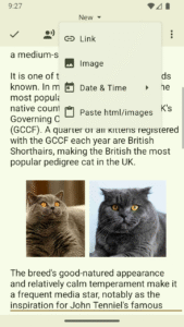 Text Editor 3.1.b163 screenshot 4