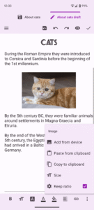 Text Editor 3.0.b161 screenshot 3