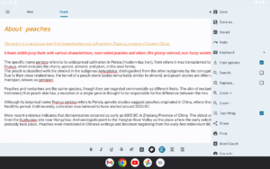 Text Editor 3.0.b161 screenshot 10