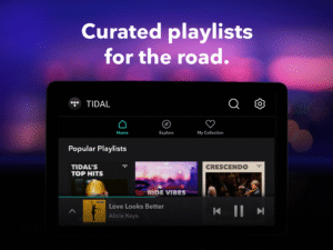 TIDAL Music: HiFi sound 2.157.0 screenshot 19