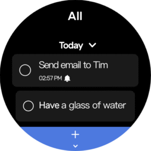 To-Do List - Schedule Planner (Wear OS) 1.02.86.0620 screenshot 9