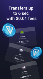 Tonhub: Crypto Wallet & Card 2.5.7 screenshot 4