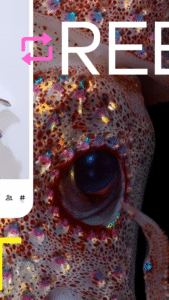 Tumblr: Social Media & Art 40.0.0.110 screenshot 7