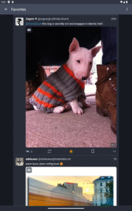 Tusky for Mastodon 29.0 screenshot 10
