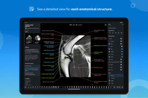 IMAIOS vet-Anatomy 4.10.2 screenshot 12