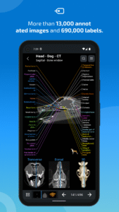 IMAIOS vet-Anatomy screenshot 2