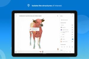 IMAIOS vet-Anatomy screenshot 11