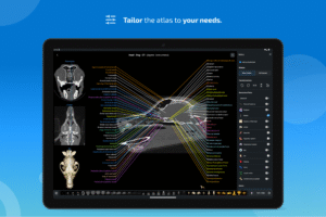 IMAIOS vet-Anatomy screenshot 13