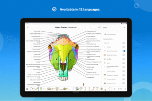IMAIOS vet-Anatomy screenshot 14
