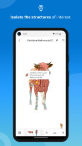 IMAIOS vet-Anatomy screenshot 3