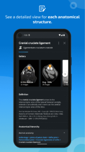 IMAIOS vet-Anatomy screenshot 4