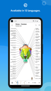 IMAIOS vet-Anatomy screenshot 6