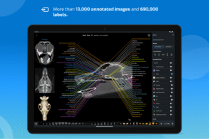 IMAIOS vet-Anatomy screenshot 9