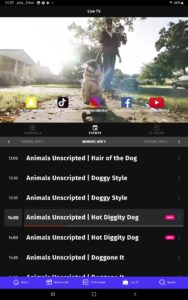 VIDAA Channels (Android TV) 1.27.101 screenshot 9