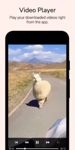 Video Downloader for Reddit 4.21 screenshot 5