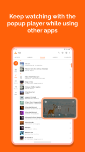 VLC for Android (f-droid version) 3.6.5 screenshot 15